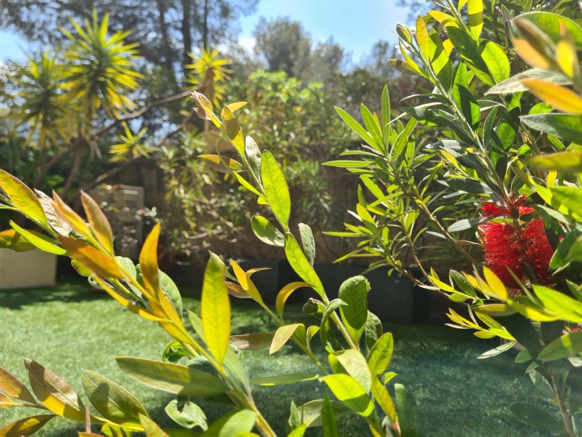 Jardin Prive Ds Le Centre De Cassis - Parking - Plage A 500M Buitenkant foto